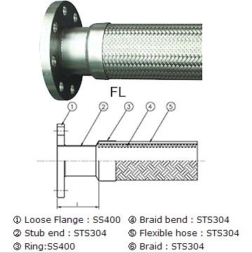 DNS-FP13.jpg